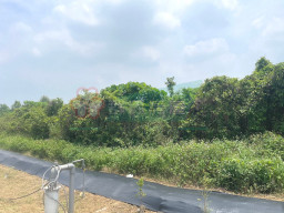 雲林房市週報|陳炳辰/買房避險! 建商品牌、穩健地段、(2026年4月)